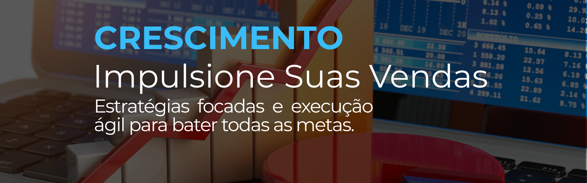 Representante Comercial B2B em São Paulo - Conectar Soluções