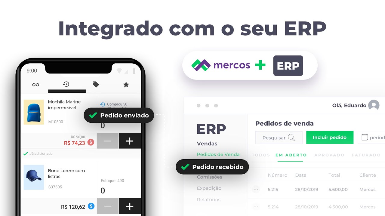 Representante Comercial B2B em São Paulo - Conectar Soluções